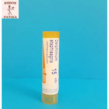 Echinacea-angustifolia-golyocskak-C-9-4g