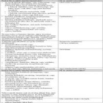 Angimed-citrom-szopogato-tabletta-24x