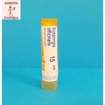 Interherb-Intense-Anti-Aging-Kollagen+Hyal,-tbl-30x