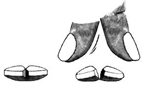 Rinogermina-orrspray-10ml+2,3g