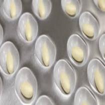 Sodioral-inulinnal-specialis-tapszer-granulatum-8x8,86g